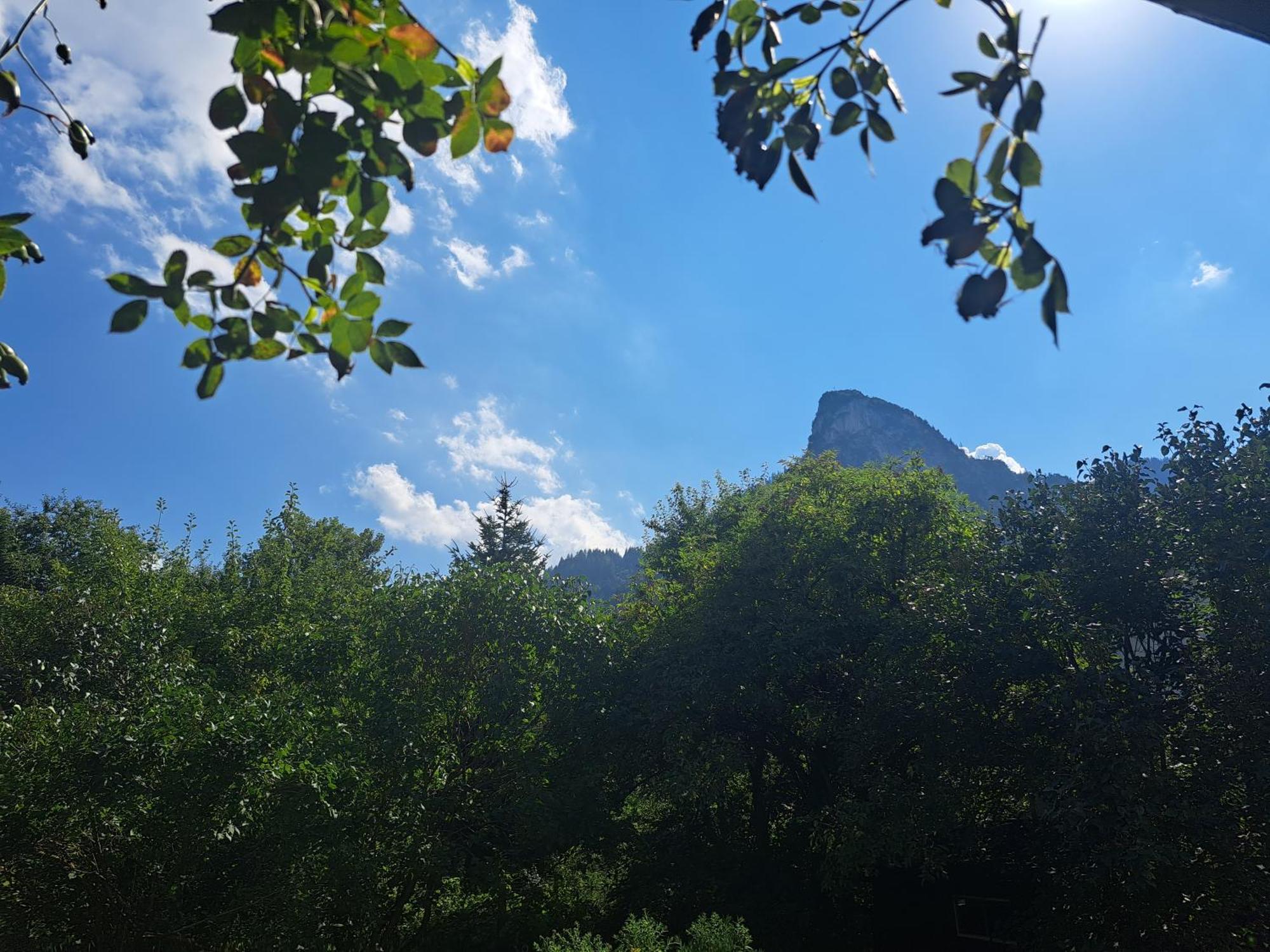 Ferienwohnungen Im Lueftlmalereck, Mussldomahaus 오버아머가우 외부 사진